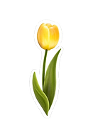 121cff0dfa90f5eb23e5b7fd2e261a4c-removebg-preview.png
