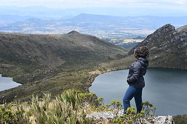 Bim Vibes Image 3_Please credit BimVibes