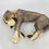 Thumbnail: Laying patchy ceramic dog