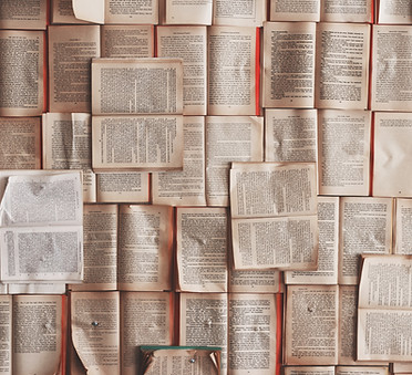 Libros abiertos