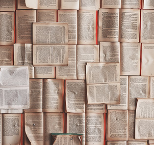 Open Books DevelopmentalEdit