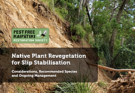 Native plant revegetation for slip stabilisation guide Thumbnail image.png