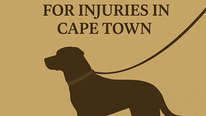 Why Dog Owners Can Be Held Liable for Injuries