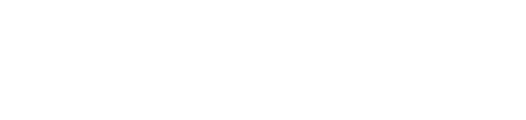 paragon logo text