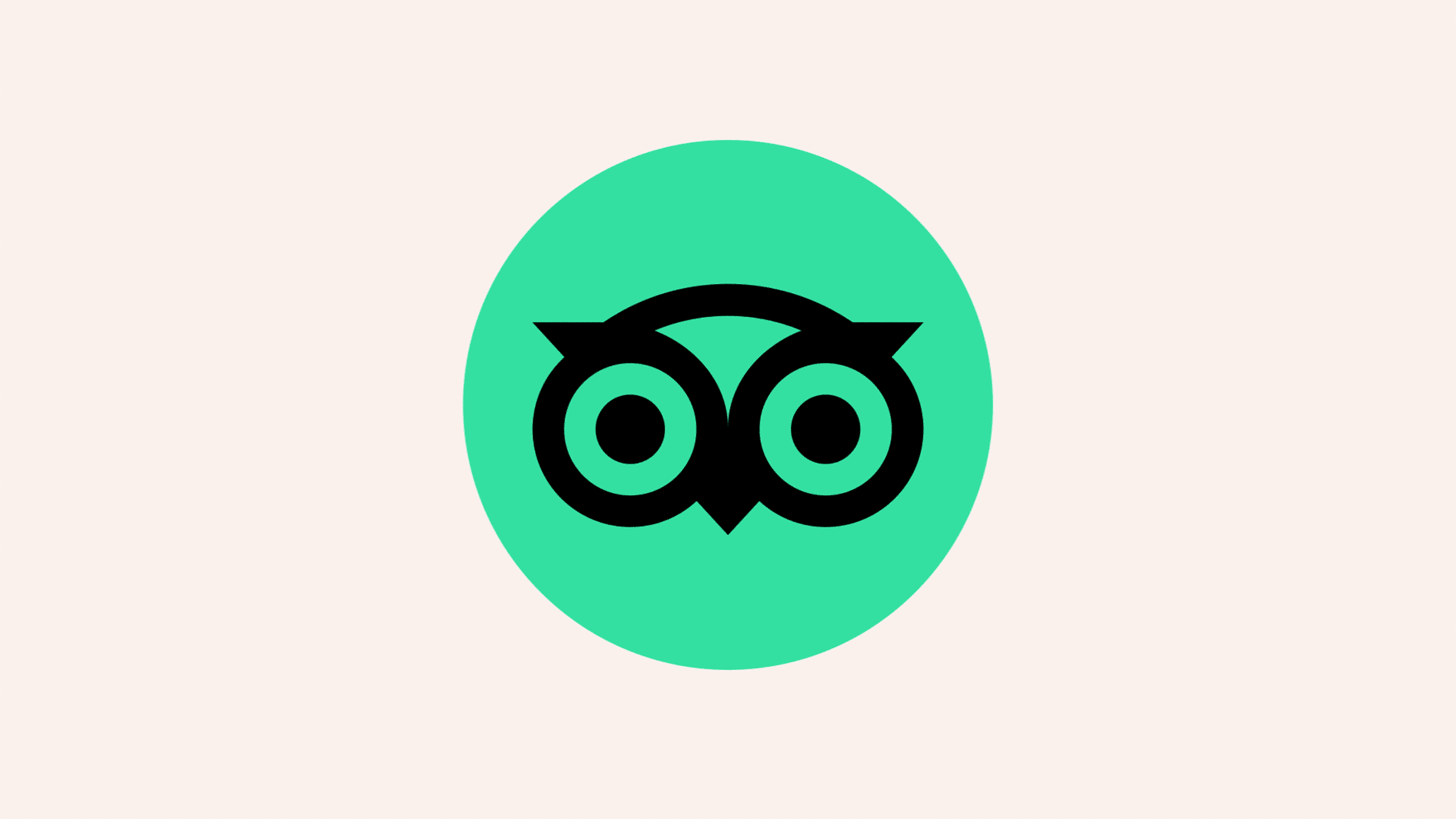 matthijsmattvanleeuwentripadvisormotherdesignwink6.gif