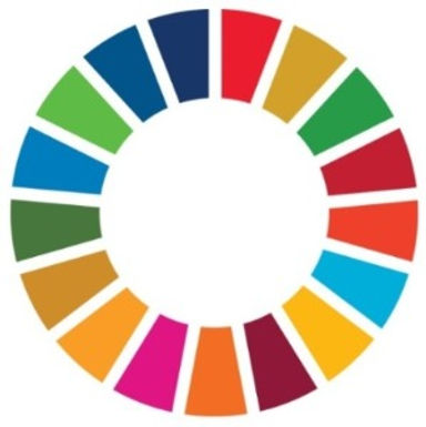 SDG Wheel_WEB_edited_edited_edited_edite