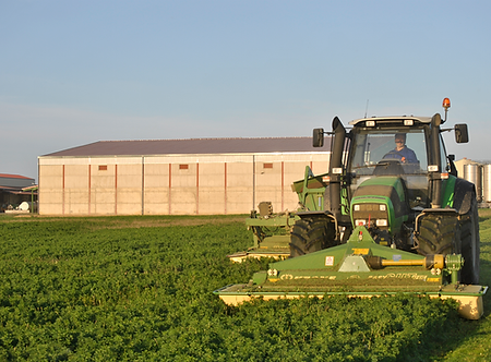 siega de alfalfa, profopal deshidratacion de forrajes, grupo tecnipec