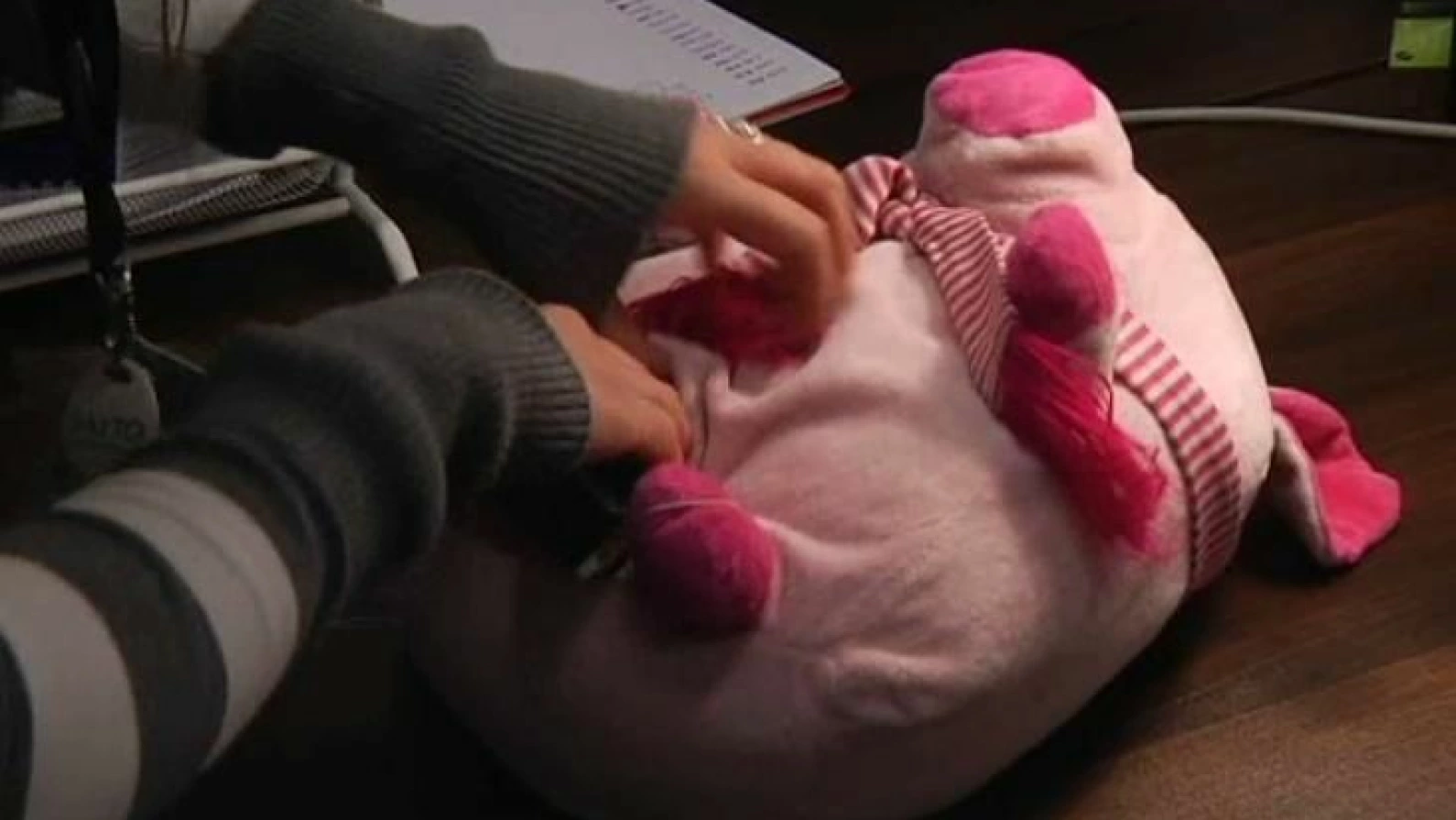 13172124.webp