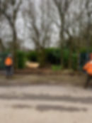 bush clearing and removal