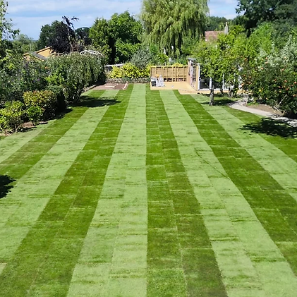 new lawn installation