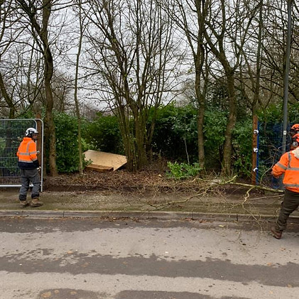 workmen clearing trees and bushes
