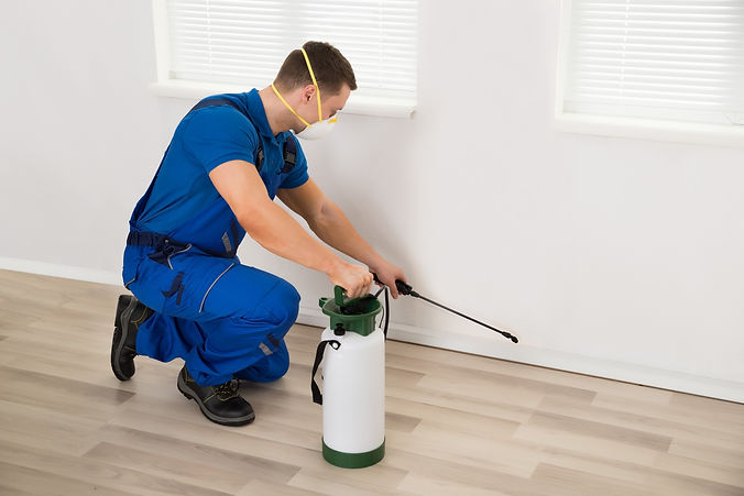 Pest controller spraying