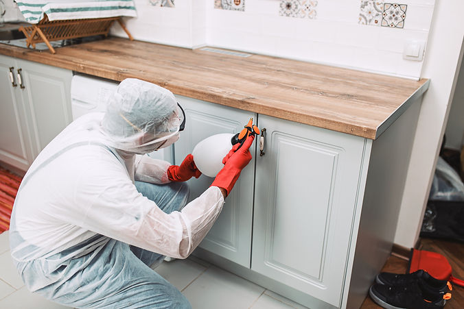 spraying under counter top