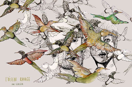 oiseaux ravages couleurs .jpg