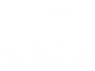 tt-og-v-1.png