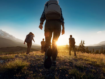 The Wonderful World of Wanderers