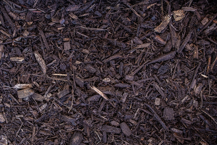 AdobeStock_287060685.jpeg