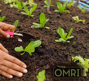 OMRI Pics for website (1).png