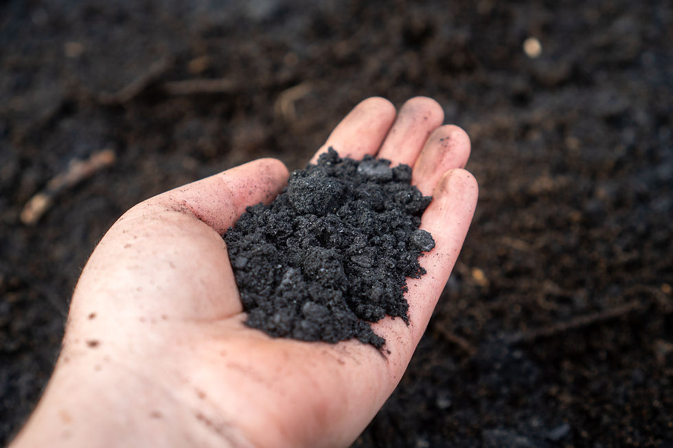 Biochar for Gardening: How to Use Biochar in Soil