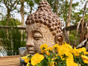 Empowering Buddha Quotes for the Traveler