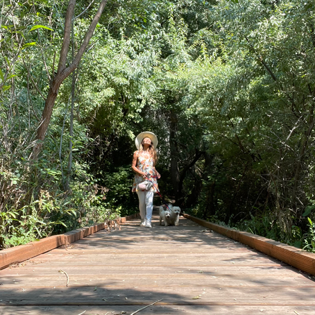 Provo Wetlands
