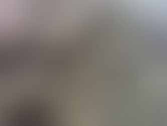 Where to stay in Moorea with pet sharks