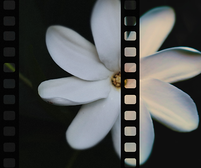 Untitled design (16).png