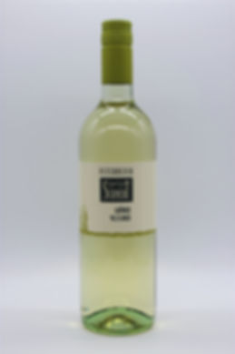 Grüner Veltliner DAC 2025