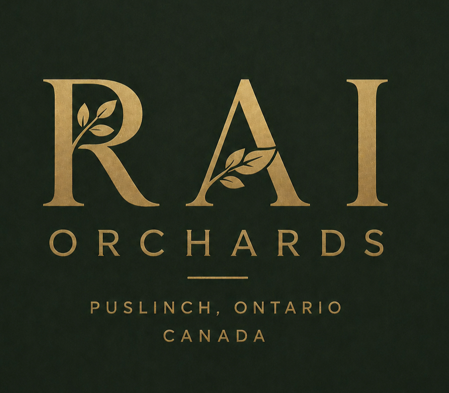Logo - green_edited.jpg
