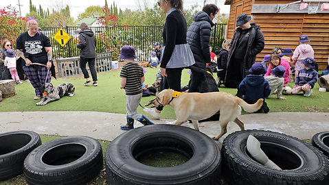 dogs and kids.jpg