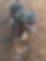 382235113_10224843906308611_6892479218651720811_n.jpg