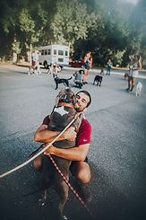 PackWalk-1.jpg