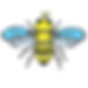 Local Honey