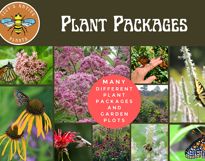 native pollinator gardens | izzys