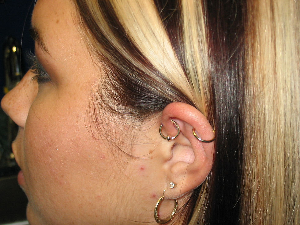 Outer Conch
