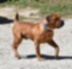 437938849_7715167351839788_8974253936147104404_n