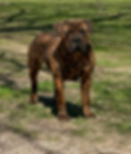 515506776_24241893868740542_2476716639217237003_n