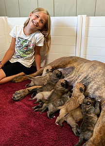 110252204_3320388514651049_7162311876143