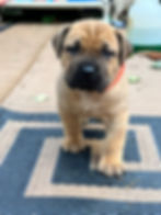 288287957_5442011422488737_2533740811635624351_n