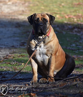 124855181_3671891996167364_6764437936360