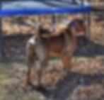 430891197_7518904641466061_4979798795575664046_n