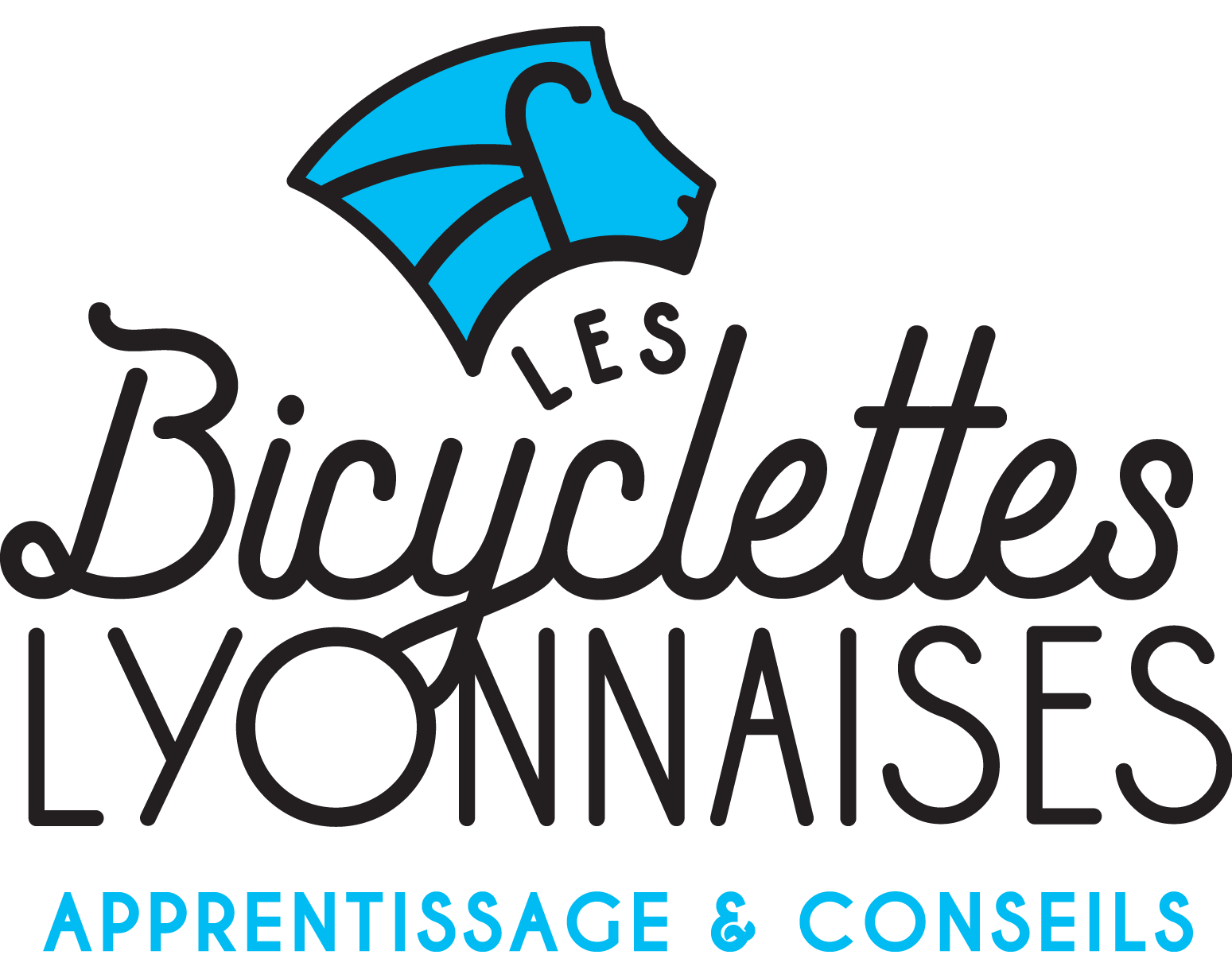 Les bicyclettes lyonnaises Clearance