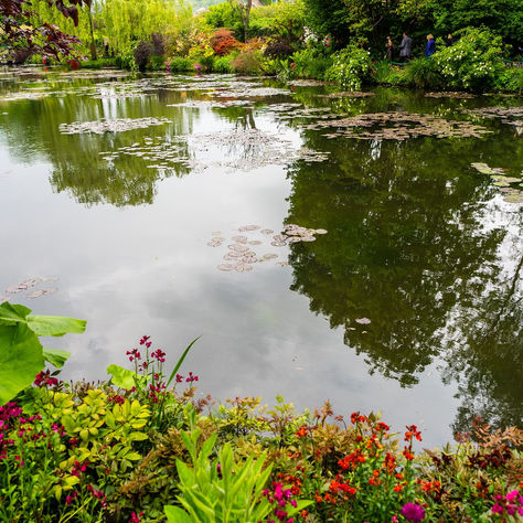 Where Can Garden Enthusiasts Find the Best River Cruises? A Hidden Gem Adventure Awaits!