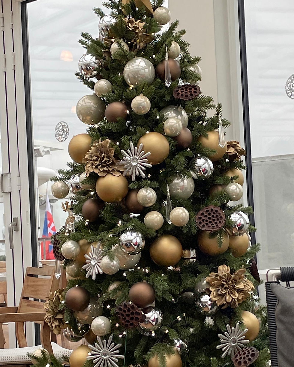 Christmas Tree on board a Christmas Markets Cruise