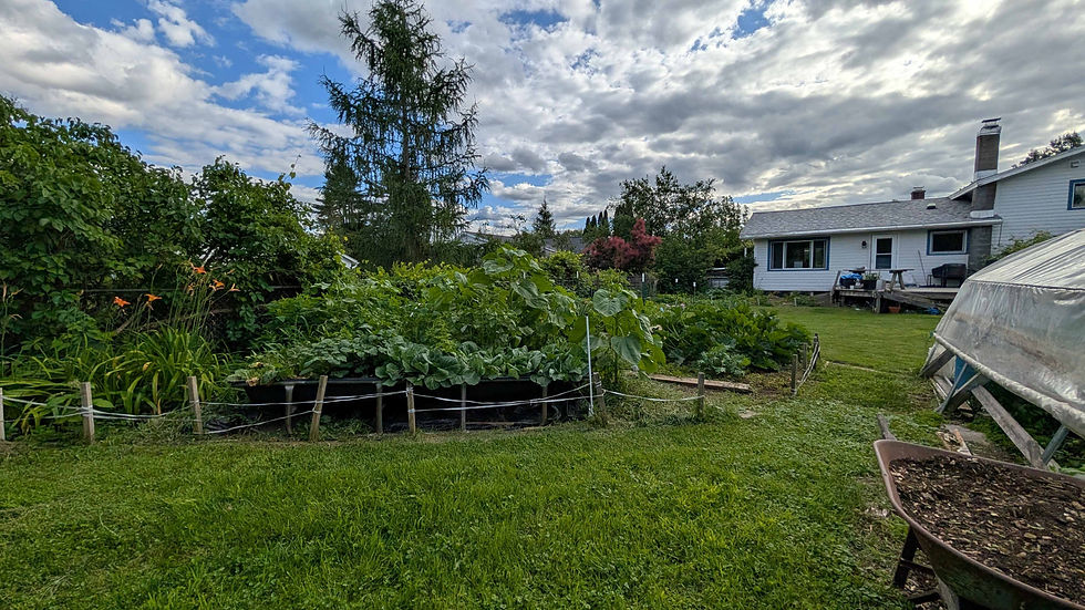 One of many gardens circling the backyard.