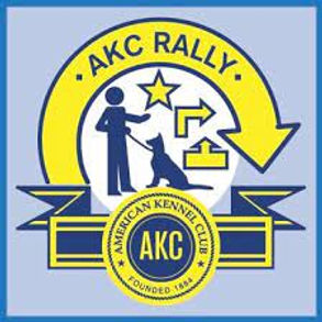 Rally.jpeg