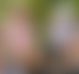 Friday 26th June 2026