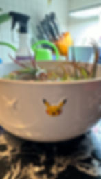 Kitchen photo of a Pikachu mixing bowl with air plants submerged in water