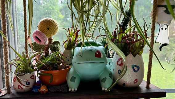Living the Pokmon plant dreams