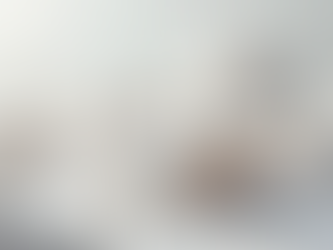 3D-Visualisierung: Ihre Projekte in lebendigen Bildern